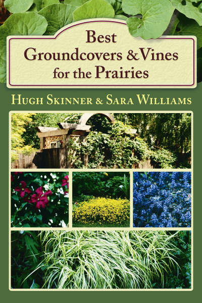 Best Groundcovers and Vines for the Prairies