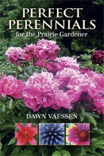 Perfect Perennials for the Prairie Gardener